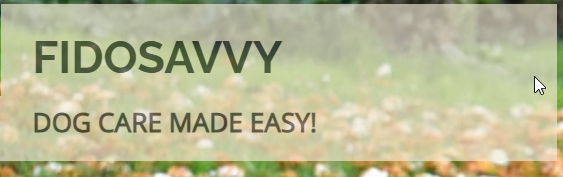 Fido Savy Logo